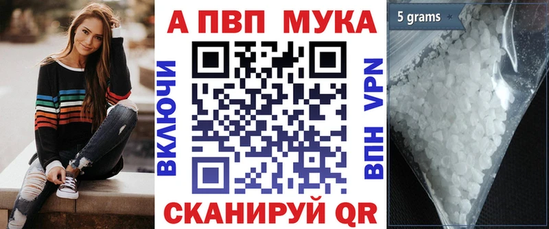 Купить где  Очёр  A PVP крисы CK 