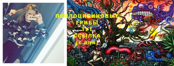 MDMA Козловка